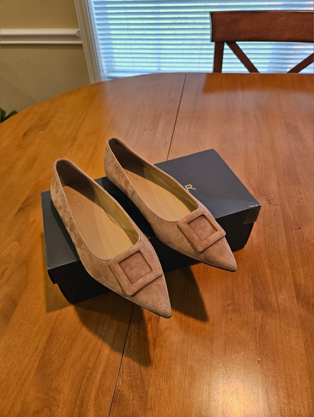 Ann Taylor Pointed Toe Buckle Flats in Taupe Suede - Women